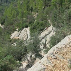 Walks 13